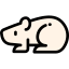 Hamster icon 64x64