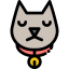 Cat icon 64x64