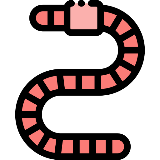 Worm icon