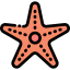 Starfish icon 64x64