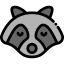 Racoon icon 64x64