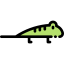 Lizard icon 64x64