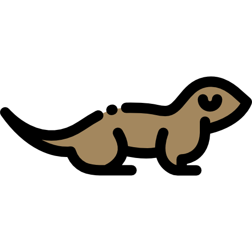 Otter icon