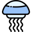 Jellyfish icon 64x64