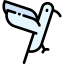 Hummingbird icon 64x64