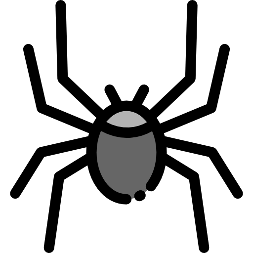 Spider icon