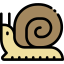 Snail icon 64x64