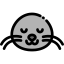 Sea lion icon 64x64