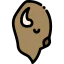 Bison icon 64x64