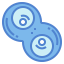 Cell division biểu tượng 64x64
