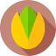 Pistachio icon 64x64