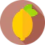 Лимон иконка 64x64