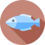 Fish icon 64x64