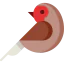 Robin icon 64x64