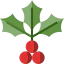 Mistletoe icon 64x64