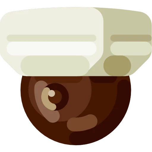 Cctv icon