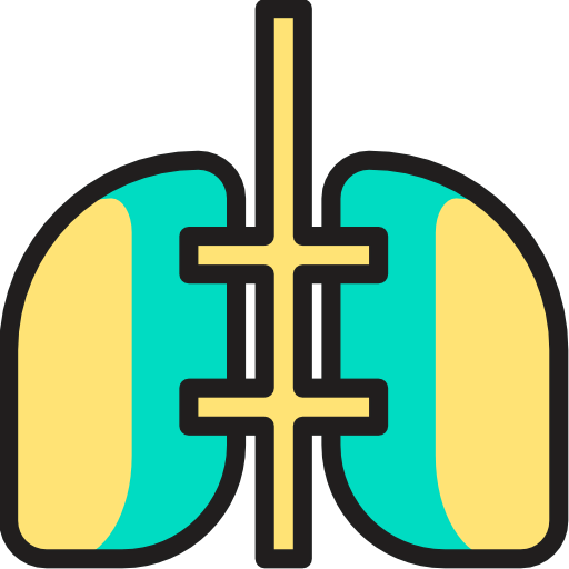 Lungs icon