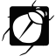 Photodune icon 64x64