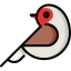 Robin icon 64x64