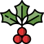 Mistletoe icon 64x64