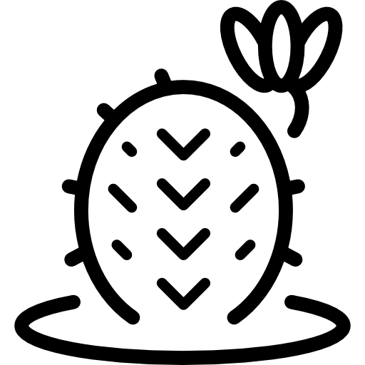 cactus icon
