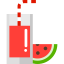 Watermelon juice Ikona 64x64