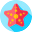 Starfish icon 64x64