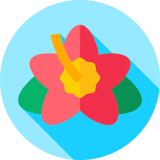 Hibiscus icon