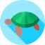Turtle icône 64x64