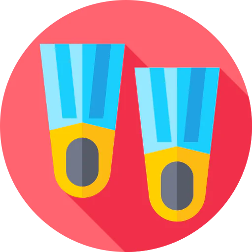 Flippers icon