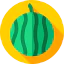 Watermelon Ikona 64x64
