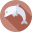 Дельфин иконка 64x64