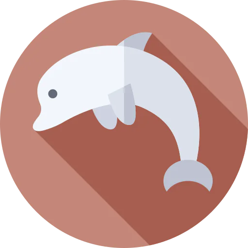 Dolphin icon