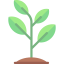 Sprout icon 64x64