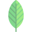 Leaf icon 64x64