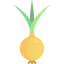 Onion icon 64x64
