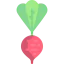 Radish icon 64x64