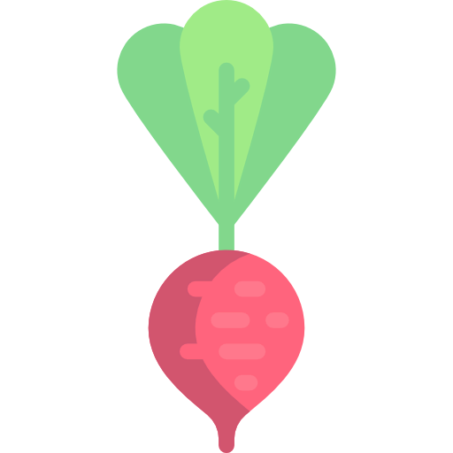 Radish icon