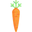 Carrot icon 64x64