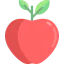 Apple icon 64x64