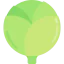 Cabbage icon 64x64