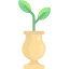 Sprout icon 64x64