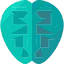 Brain icon 64x64