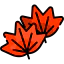 Leaves icon 64x64