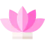 Lotus flower icon 64x64