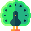 Peacock icon 64x64