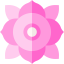 Flower icon 64x64