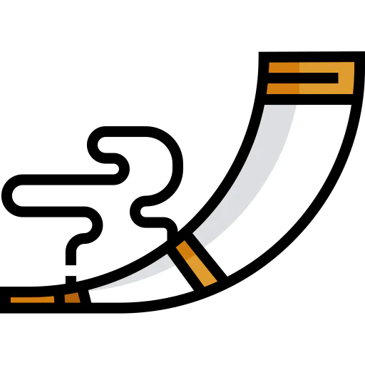 Viking icon
