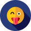 Wink icon 64x64