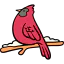 Robin icon 64x64